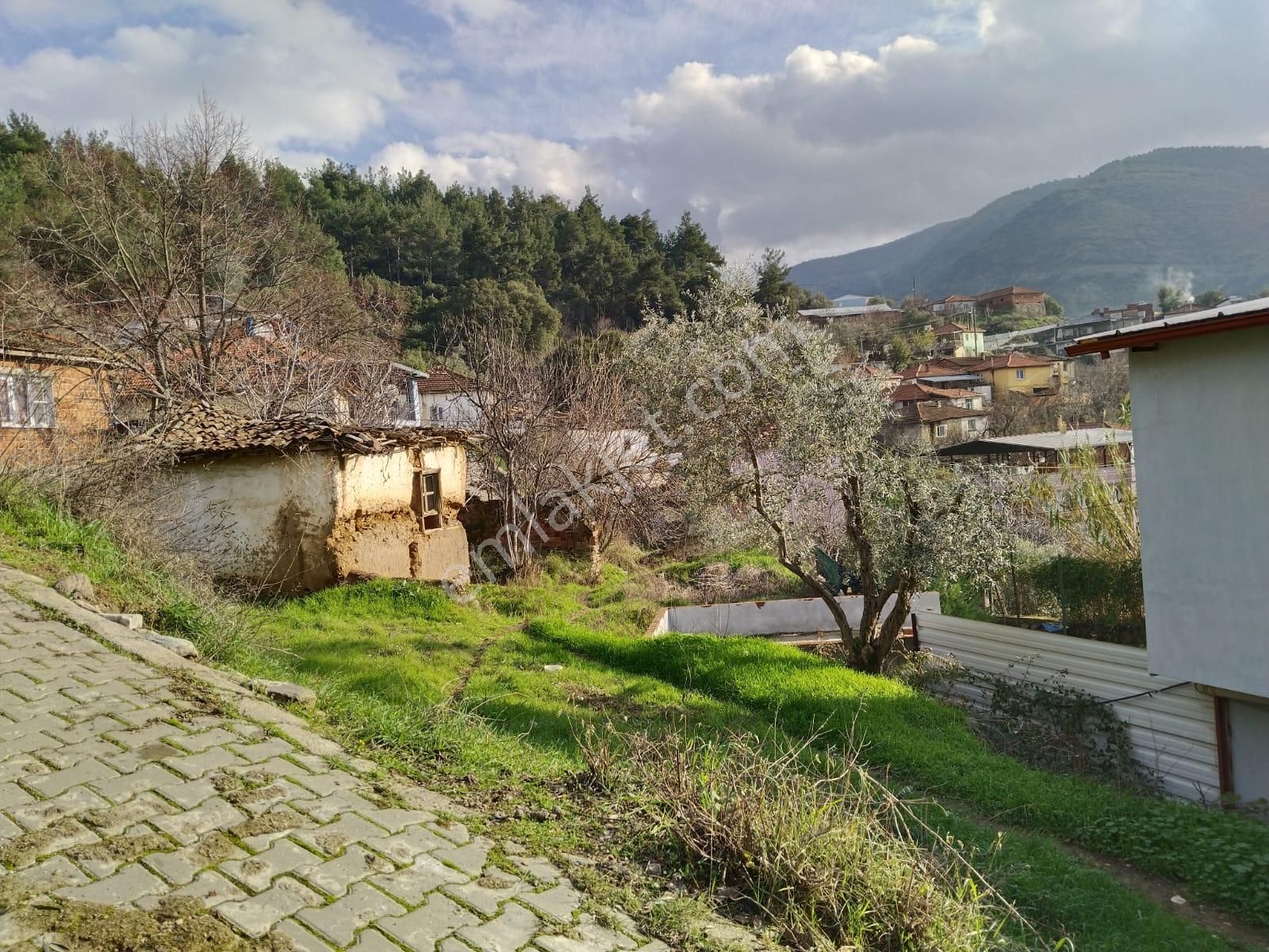 Turgutlu Satılık Tarla Çatal Köprü Mah Niteliği Zeytinlik 105m2 Yola Sıfır Manzarası Güzel - Görsel 9