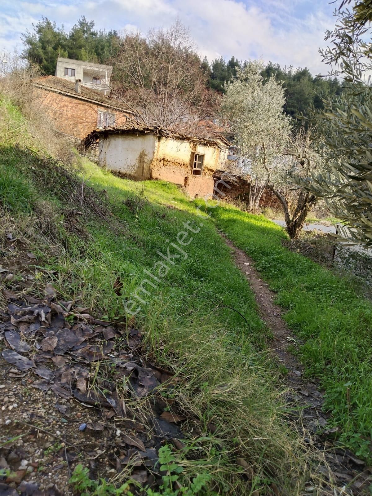 Turgutlu Satılık Tarla Çatal Köprü Mah Niteliği Zeytinlik 105m2 Yola Sıfır Manzarası Güzel - Görsel 10