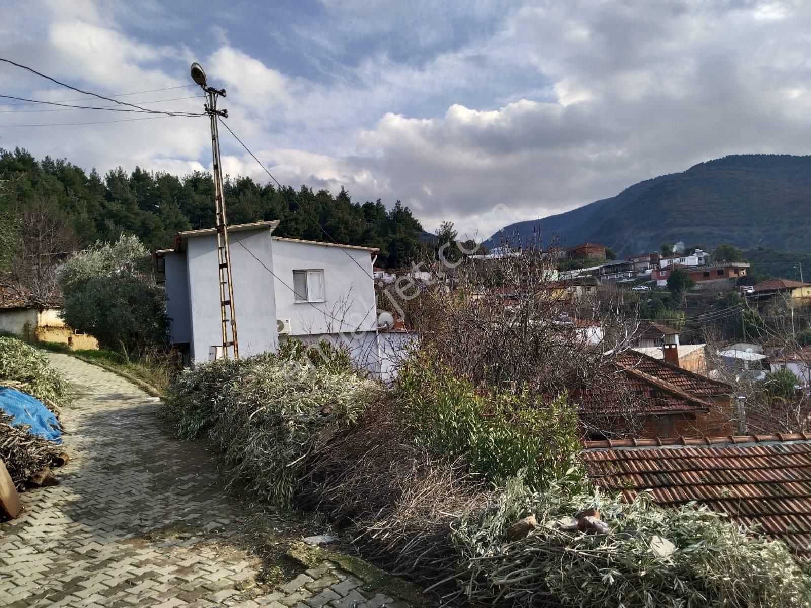 Turgutlu Satılık Tarla Çatal Köprü Mah Niteliği Zeytinlik 105m2 Yola Sıfır Manzarası Güzel - Görsel 6