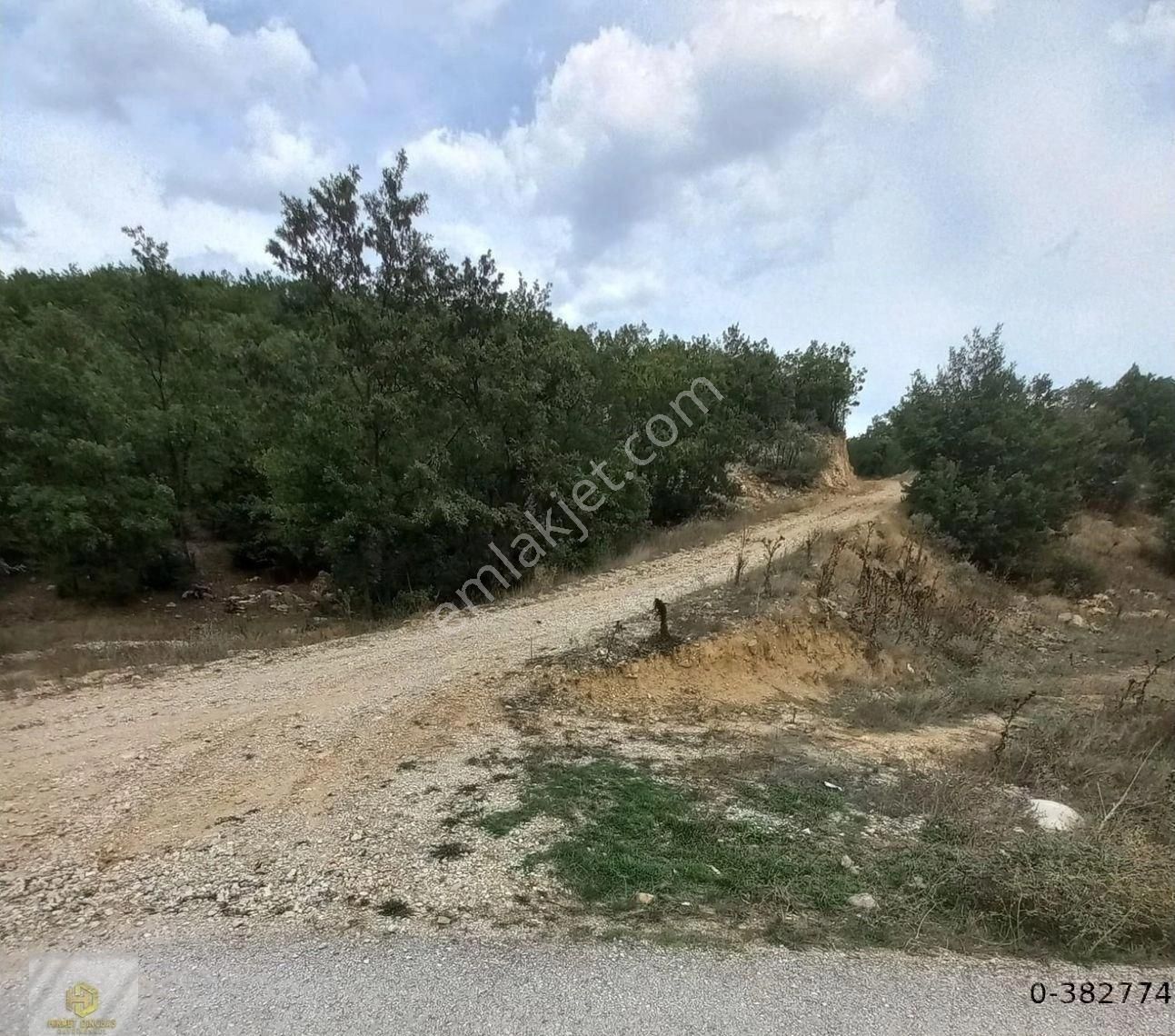 Bozüyük Çaydere Köyü Satılık Tarla Bilecik Bozüyük Çaydere Mahallesi Satılık Tarla