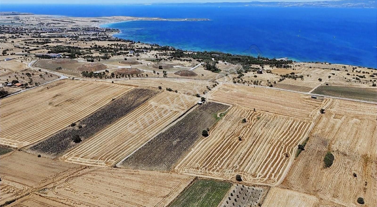 Gelibolu Bolayır Köyü (Gazi Süleyman Paşa) Satılık Villa İmarlı Gelibolu Bolayırda Tek Tapu Yatırımlık Arsa