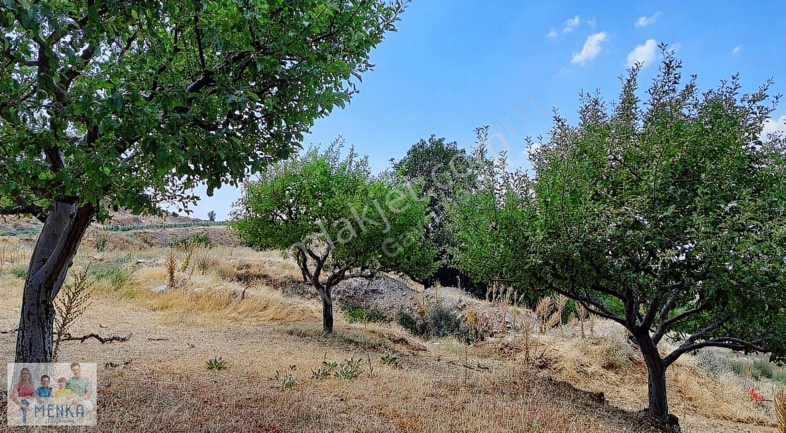 Karacasu Ataköy Satılık Tarla Aydın Karacasu Ataköy Yaylasında Yatırıma Uygun Satılık Tarla