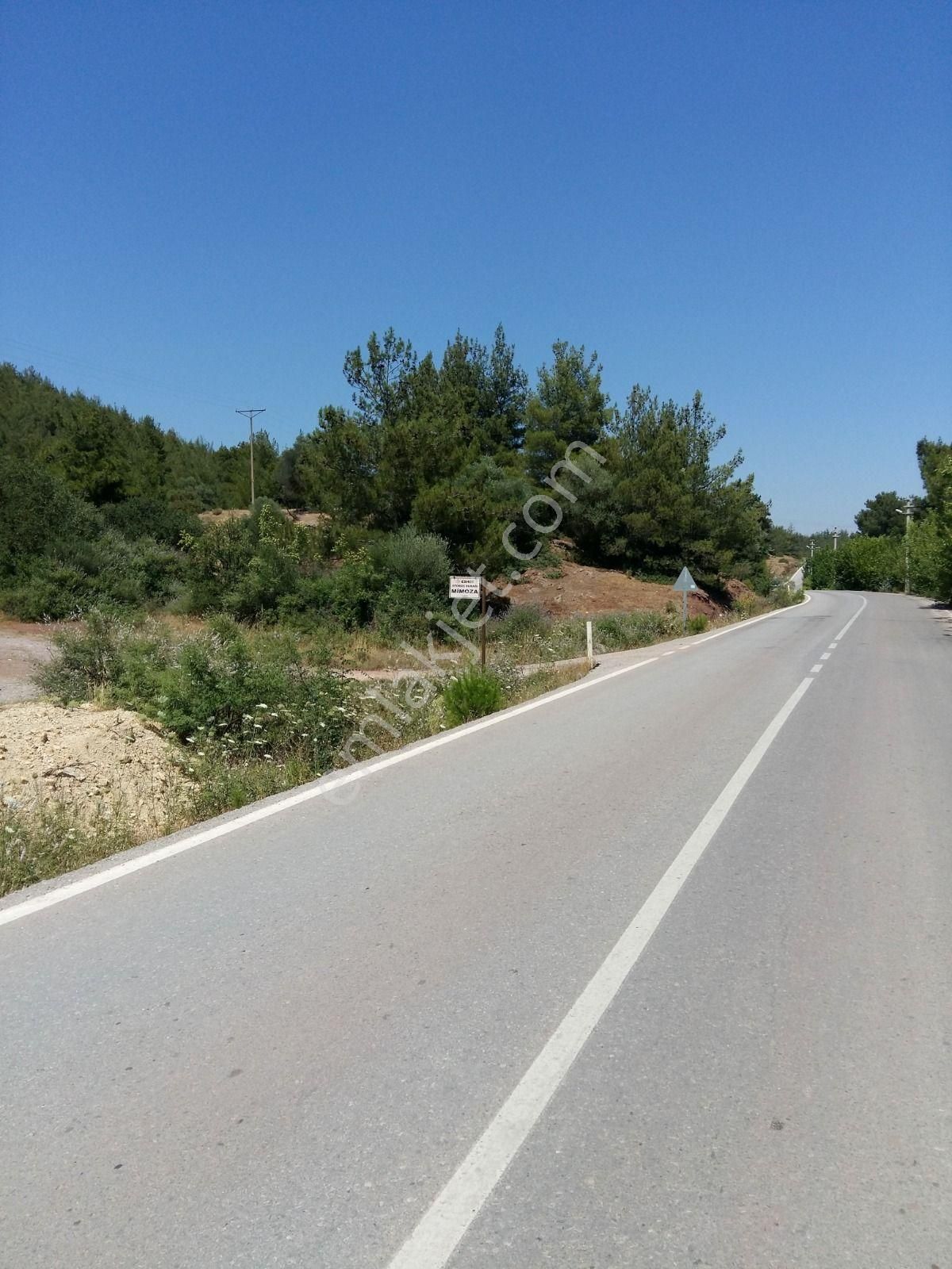 Menderes Kuyucak'ta Satılık Tek Tapu Beş Dönüm Arazi - Görsel 13