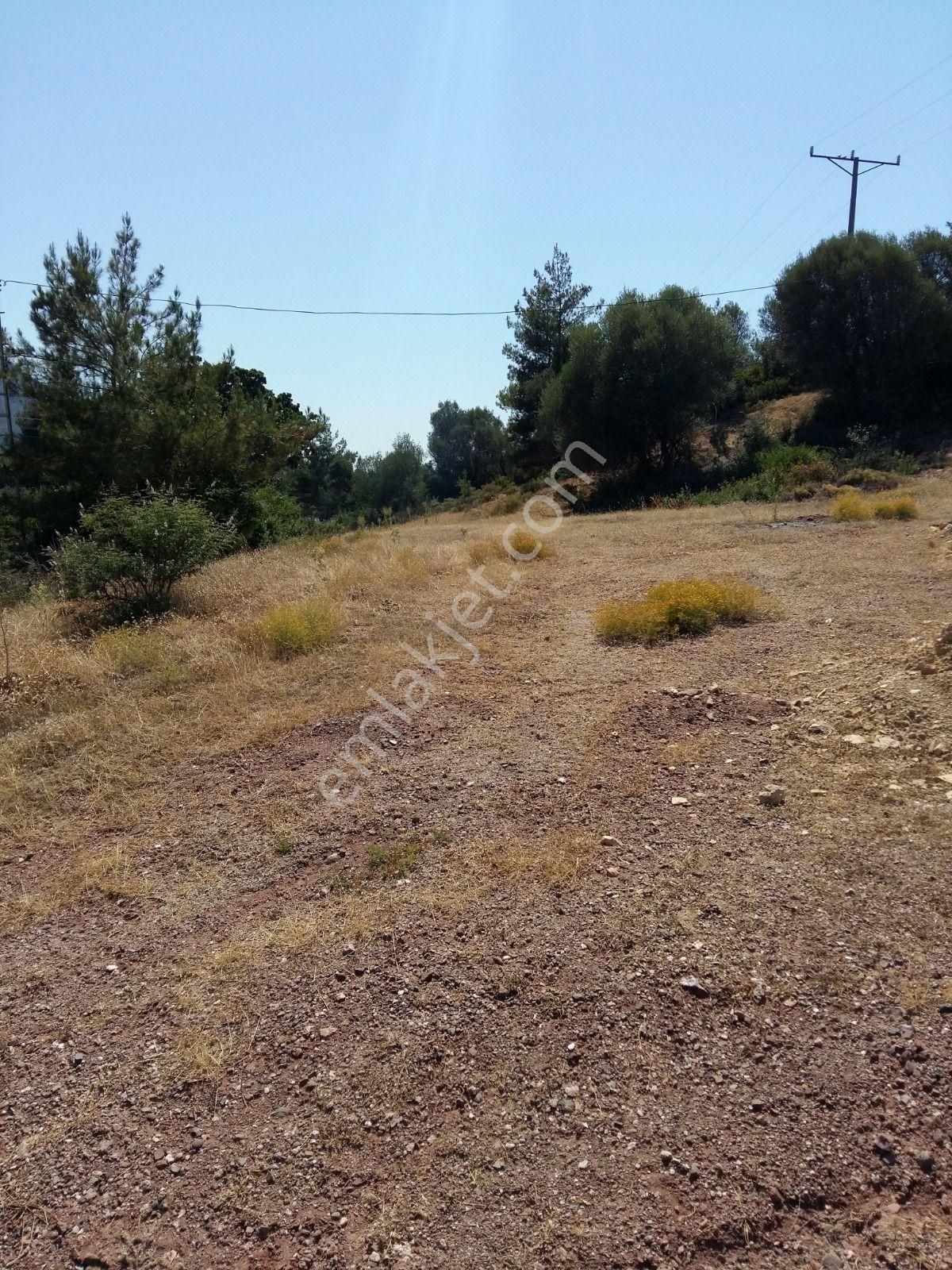Menderes Kuyucak'ta Satılık Tek Tapu Beş Dönüm Arazi - Görsel 5