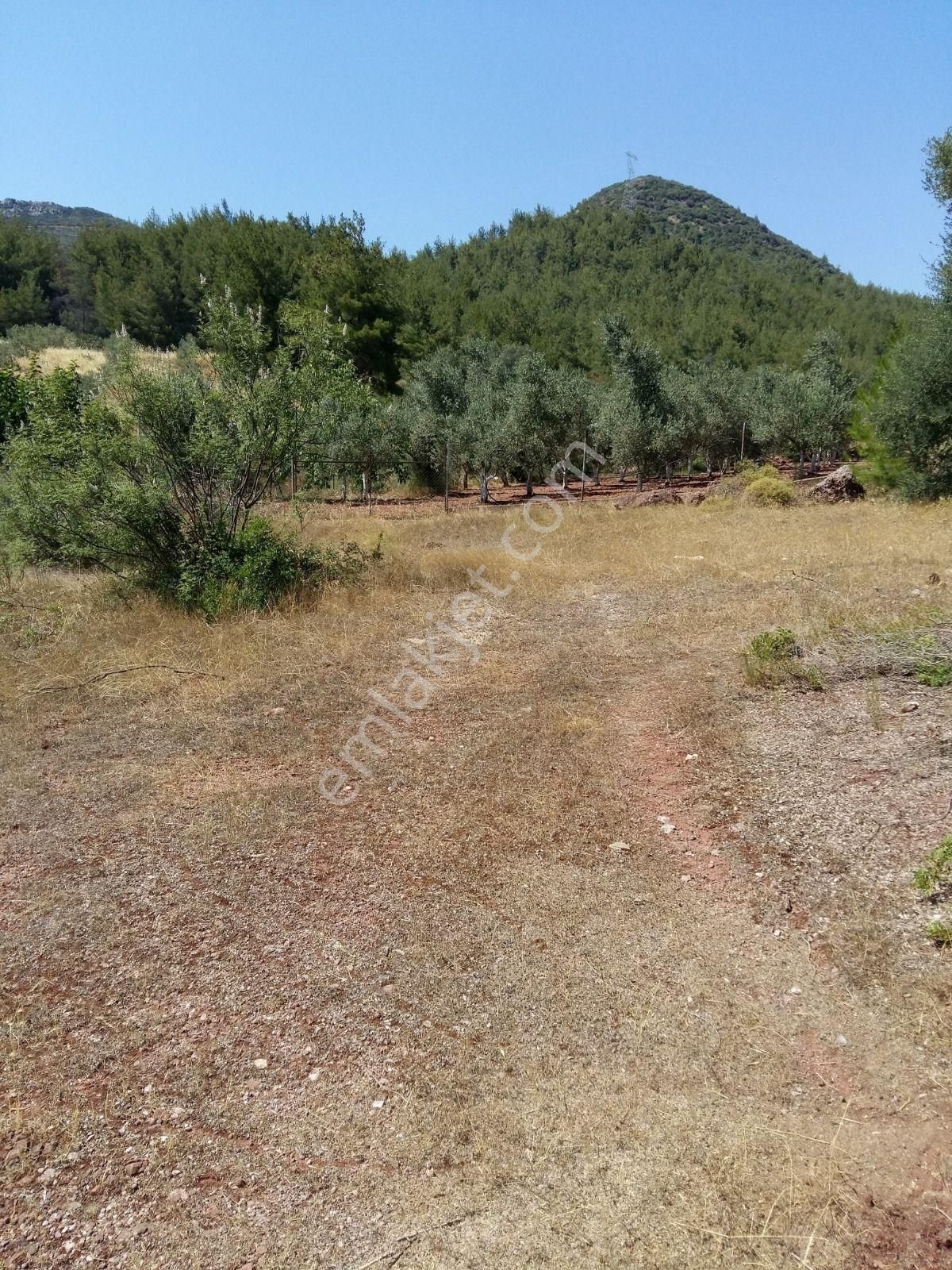 Menderes Kuyucak'ta Satılık Tek Tapu Beş Dönüm Arazi - Görsel 7