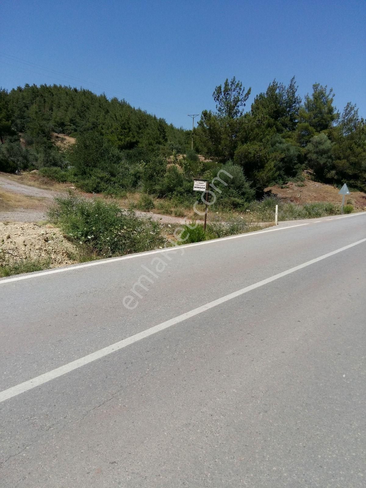 Menderes Kuyucak'ta Satılık Tek Tapu Beş Dönüm Arazi - Görsel 3