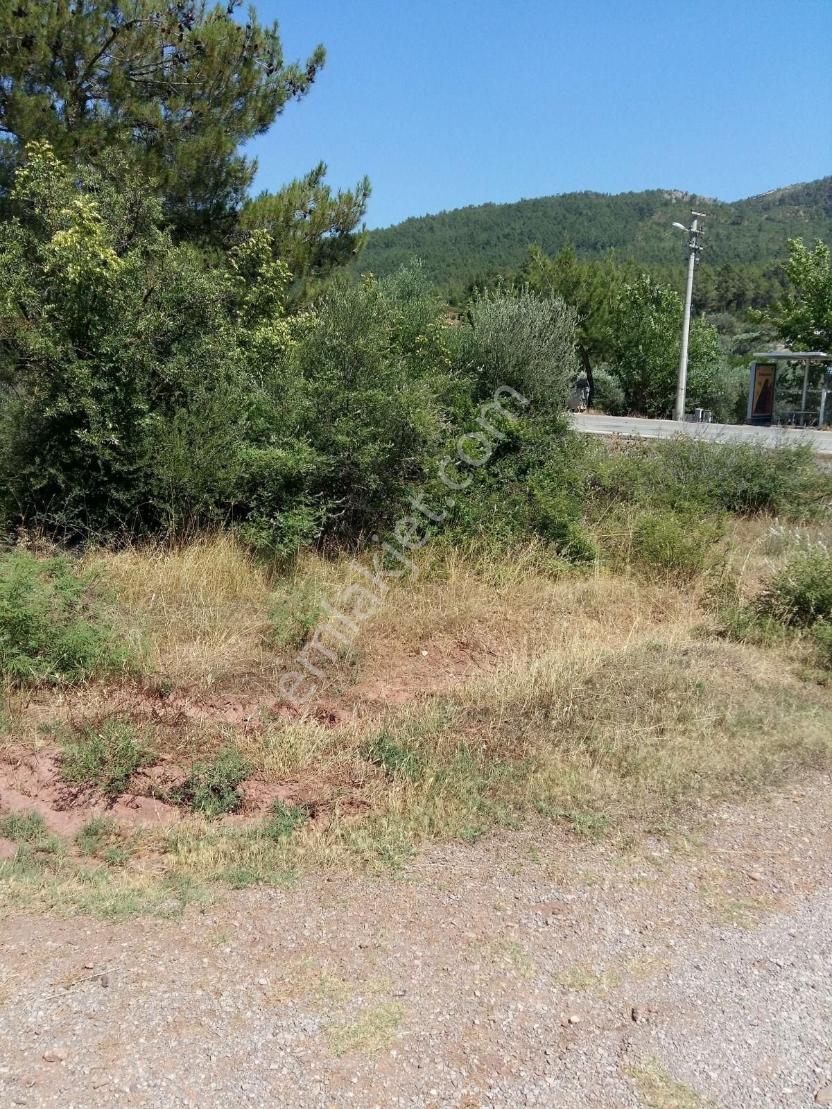 Menderes Kuyucak'ta Satılık Tek Tapu Beş Dönüm Arazi - Görsel 2