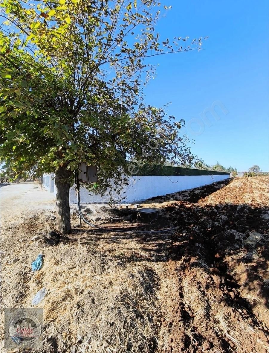 Kilis Merkez Mehmet Abdi Bulut Satılık Tarla Çekiç Gayrimenkul'den M. Abdi Bulut Mah. 3984m2 Satılık Tarla