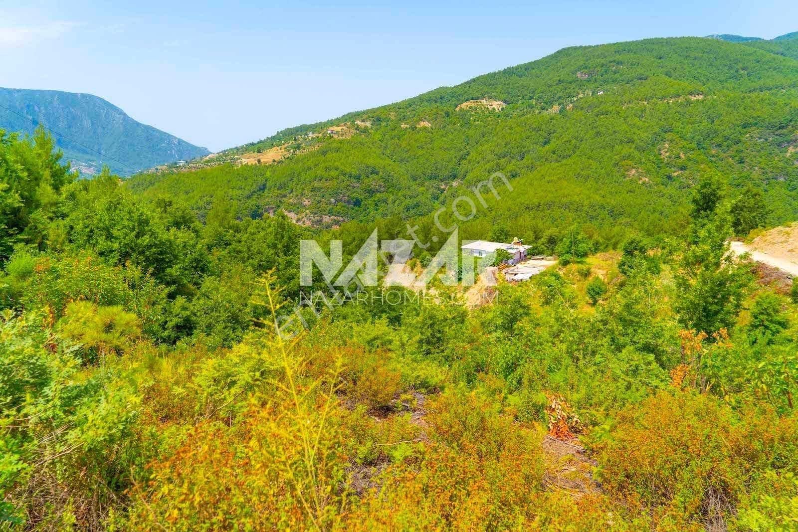 Alanya Üzümlü Mahallesi’nde Satılık Manzaralı 8.202 M² Tarla - Görsel 13