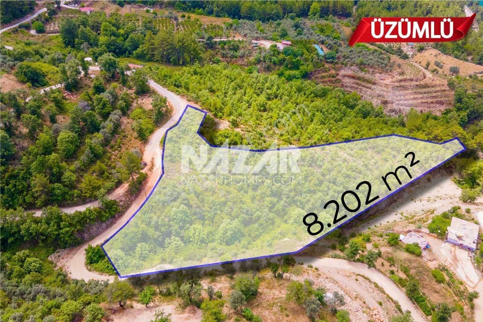 Alanya Üzümlü Mahallesi’nde Satılık Manzaralı 8.202 M² Tarla - Görsel 4