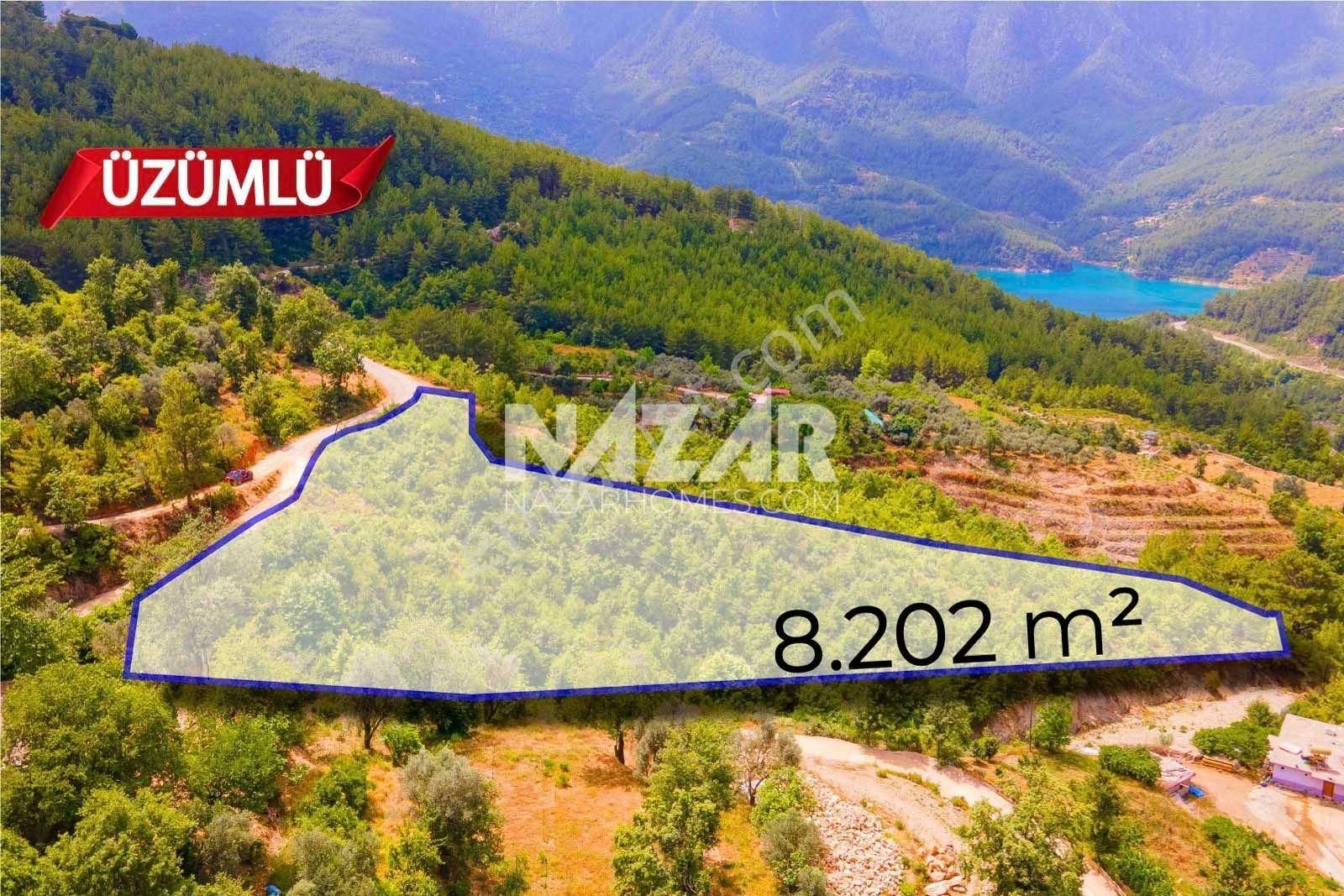 Alanya Üzümlü Mahallesi’nde Satılık Manzaralı 8.202 M² Tarla - Görsel 2