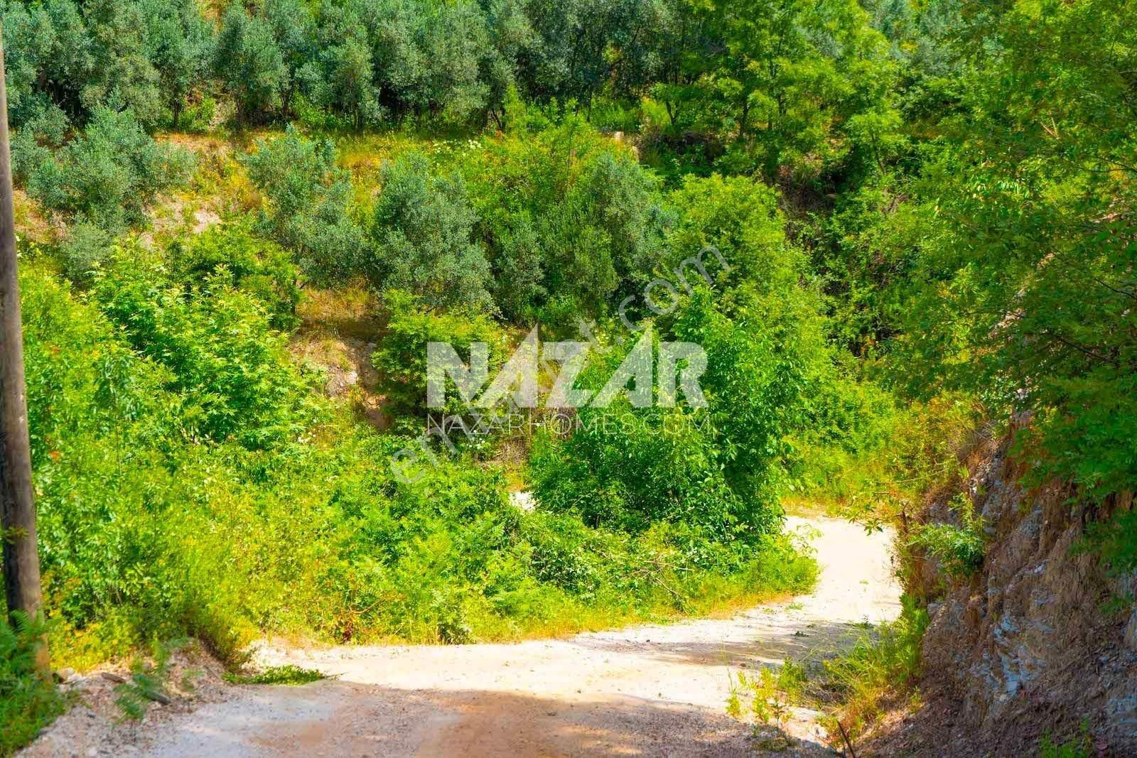 Alanya Üzümlü Mahallesi’nde Satılık Manzaralı 8.202 M² Tarla - Görsel 23