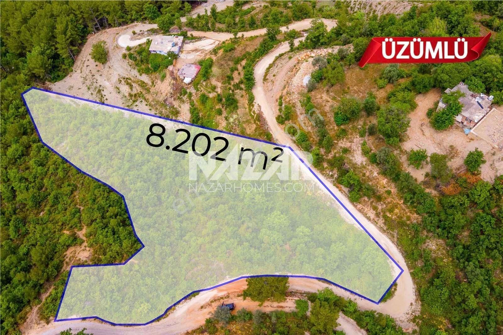 Alanya Üzümlü Mahallesi’nde Satılık Manzaralı 8.202 M² Tarla - Görsel 5
