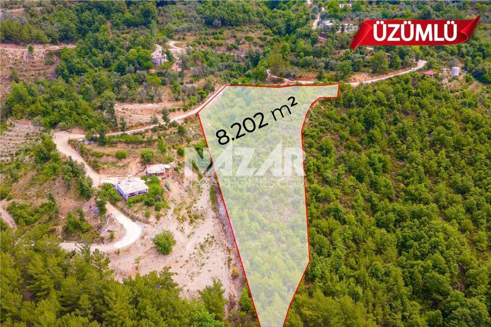 Alanya Üzümlü Mahallesi’nde Satılık Manzaralı 8.202 M² Tarla - Görsel 9