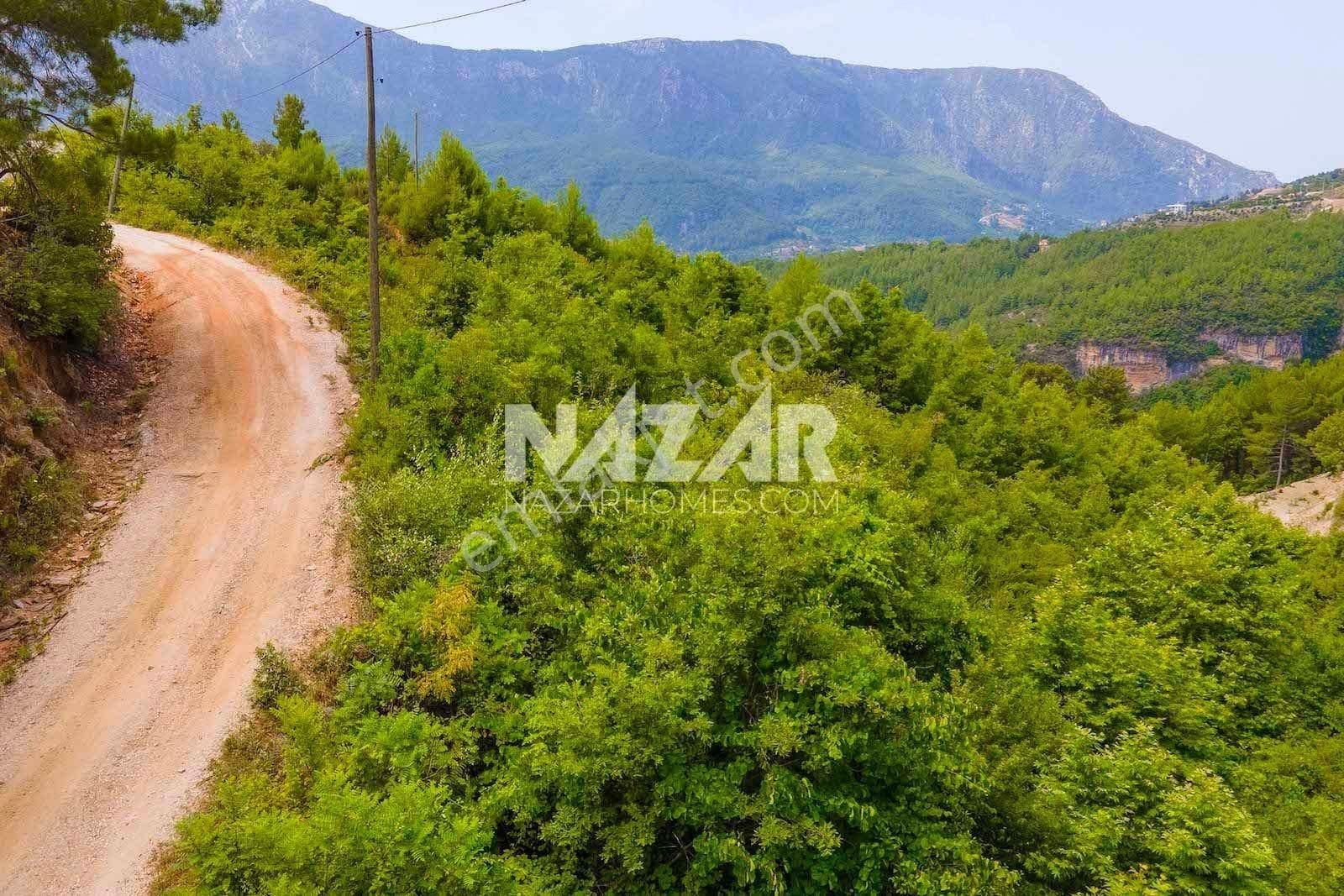 Alanya Üzümlü Mahallesi’nde Satılık Manzaralı 8.202 M² Tarla - Görsel 8