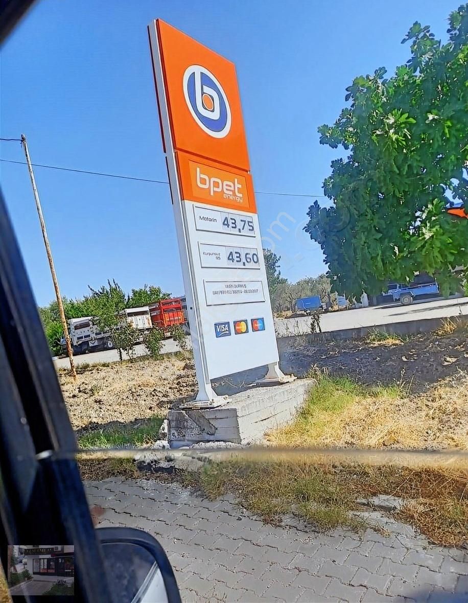 Manisa Akhisar Erdellide 3.300 Dönüm Satılık Zeytinlik