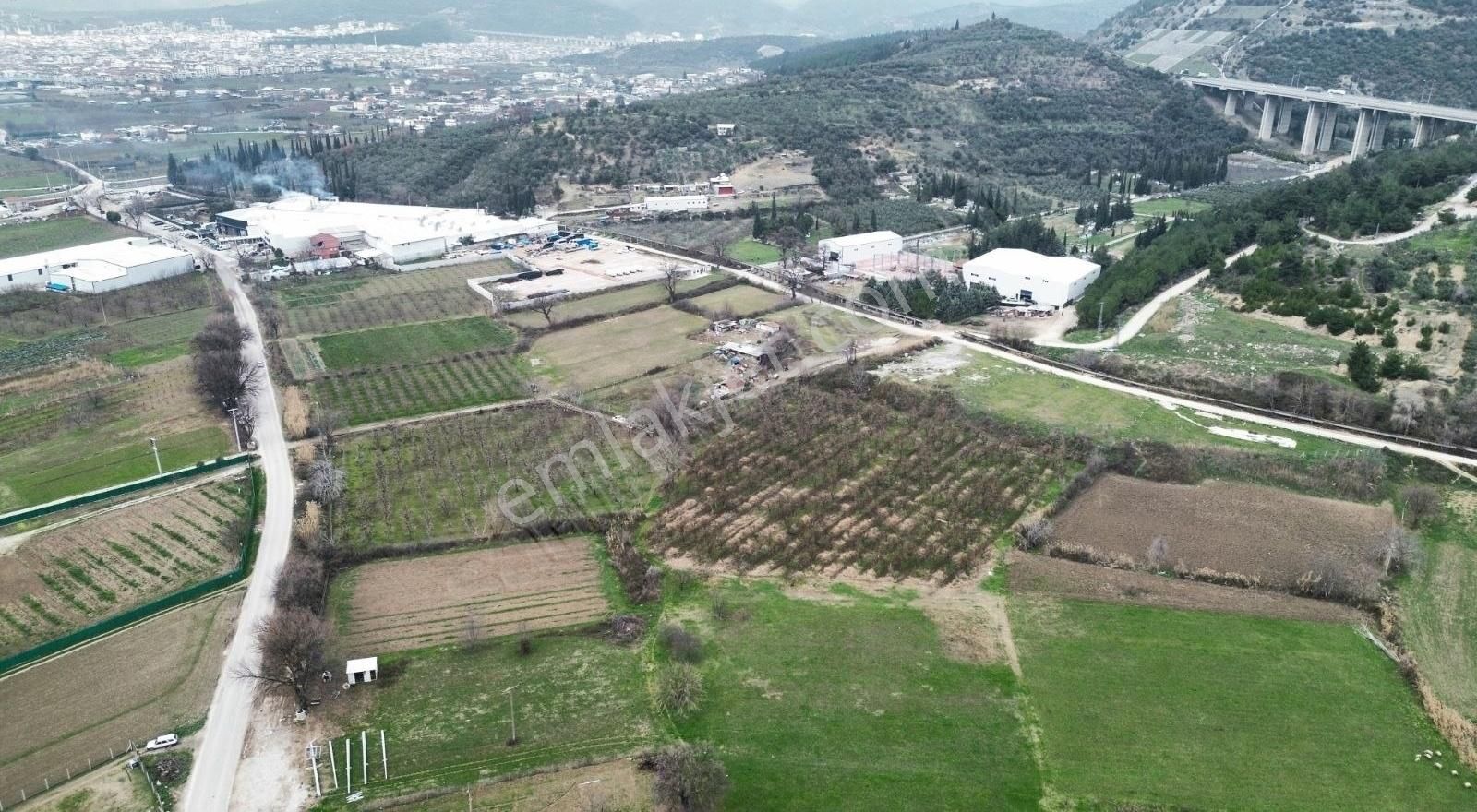 Osmangazi İsmetiyede 6733 M2 Asfalt Yola Cephe Satılık Arazi - Görsel 14