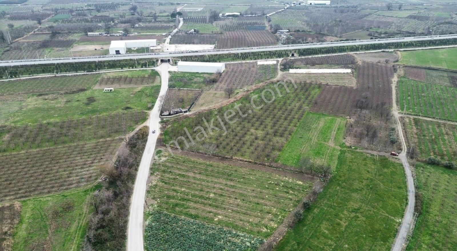 Osmangazi İsmetiyede 6733 M2 Asfalt Yola Cephe Satılık Arazi - Görsel 22