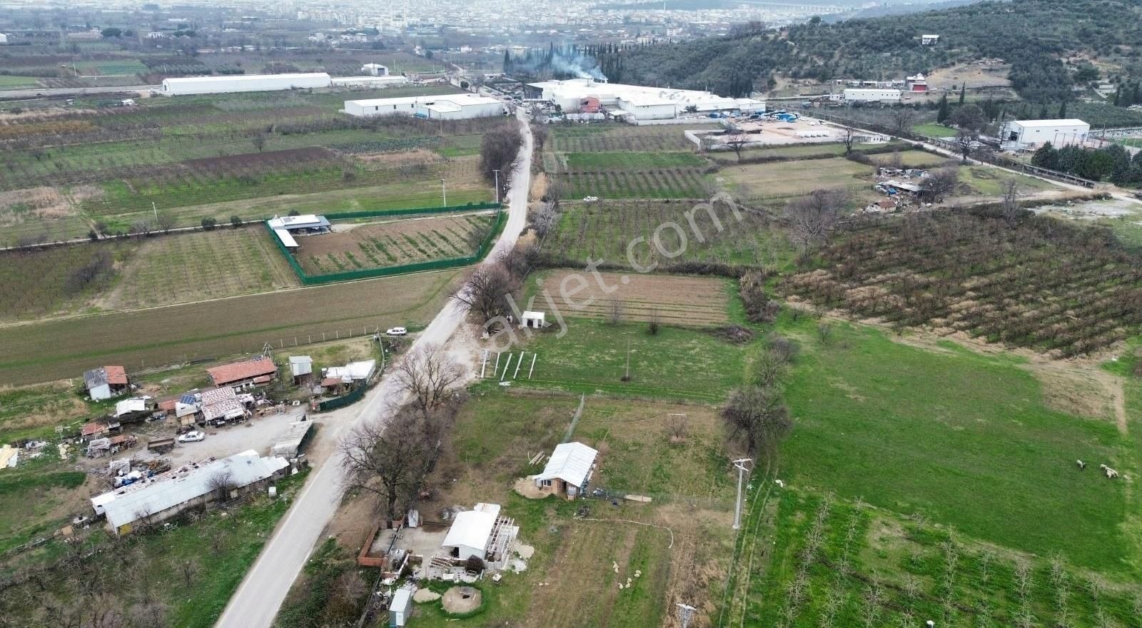 Osmangazi İsmetiyede 6733 M2 Asfalt Yola Cephe Satılık Arazi - Görsel 5