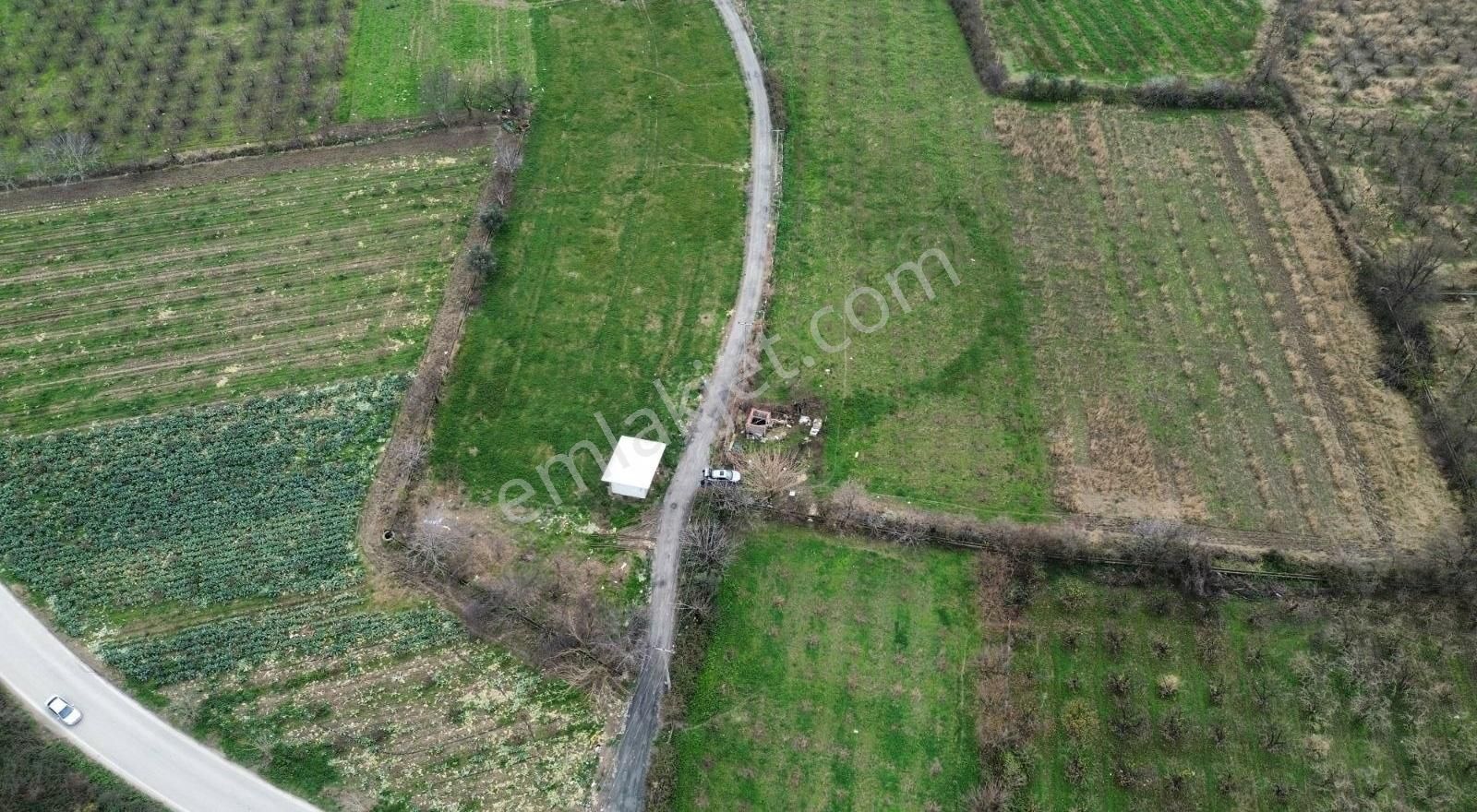 Osmangazi İsmetiyede 6733 M2 Asfalt Yola Cephe Satılık Arazi - Görsel 16