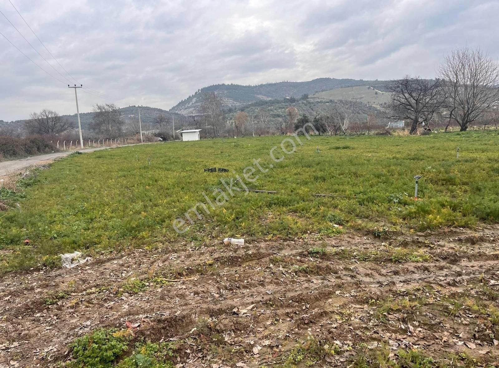 Osmangazi İsmetiyede 6733 M2 Asfalt Yola Cephe Satılık Arazi - Görsel 9