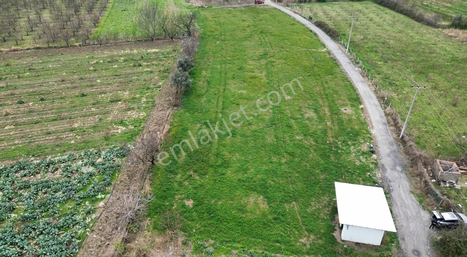 Osmangazi İsmetiyede 6733 M2 Asfalt Yola Cephe Satılık Arazi - Görsel 10