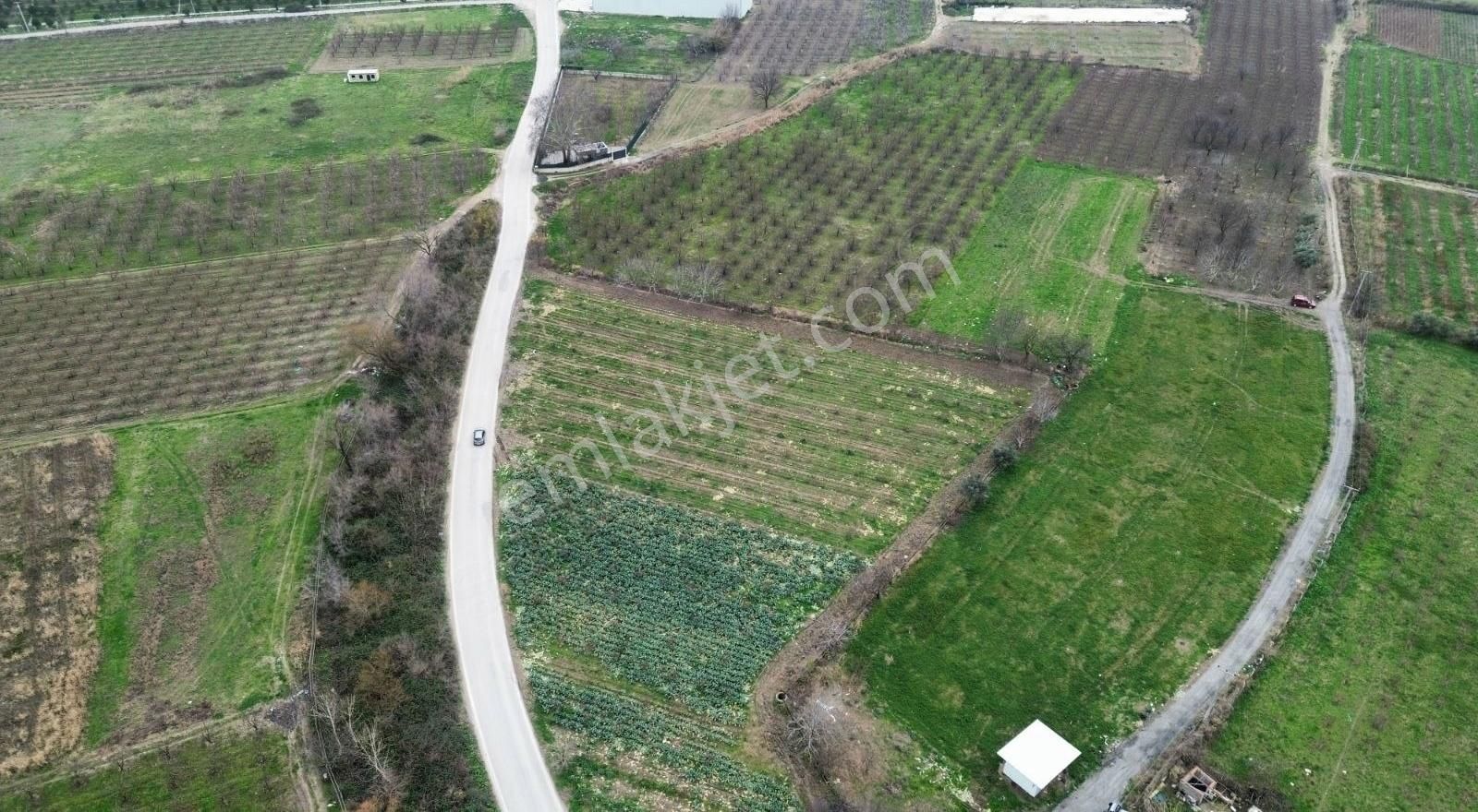 Osmangazi İsmetiyede 6733 M2 Asfalt Yola Cephe Satılık Arazi - Görsel 21