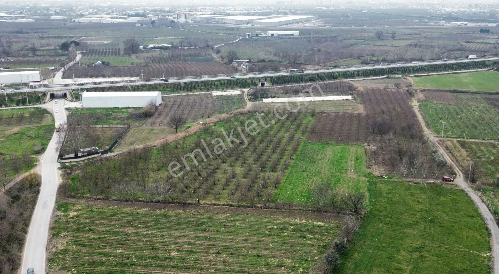 Osmangazi İsmetiyede 6733 M2 Asfalt Yola Cephe Satılık Arazi - Görsel 6