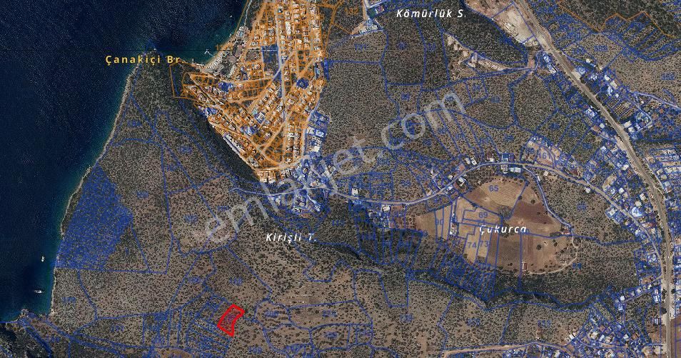 Kw Murat Taştan’dan ; Frenk Koyuna Yürüme Mesafesinde Zeytinli Tarla - Görsel 6