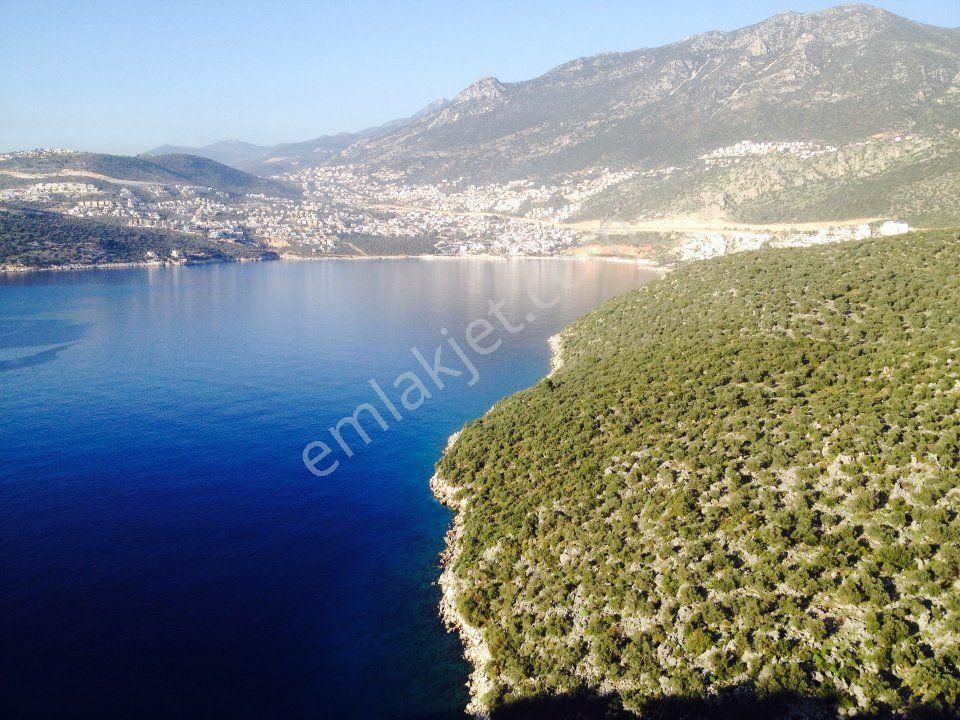 Kaş Bezirgan Satılık Tarla Kw Murat Taştan’dan ; Frenk Koyuna Yürüme Mesafesinde Zeytinli Tarla