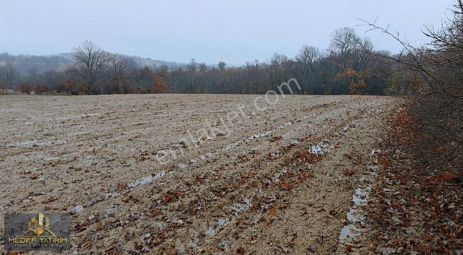 Kofçaz Aşağıkanara Köyü Satılık Tarla Ana Yola Yakın Köye 1 Km Gölet Dibinde 9.388 M2 Arazi