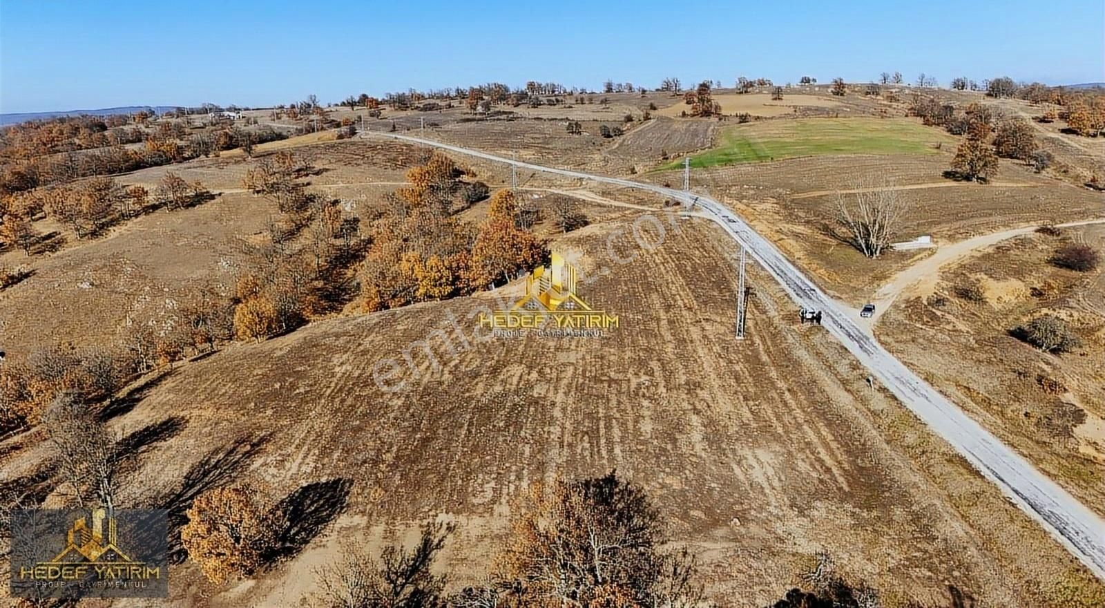 Kofçaz Terzidere Köyü Satılık Tarla Emsali Yok Düz,asfalt Cepheli Tek Tapu 12 Dönüm Arazi