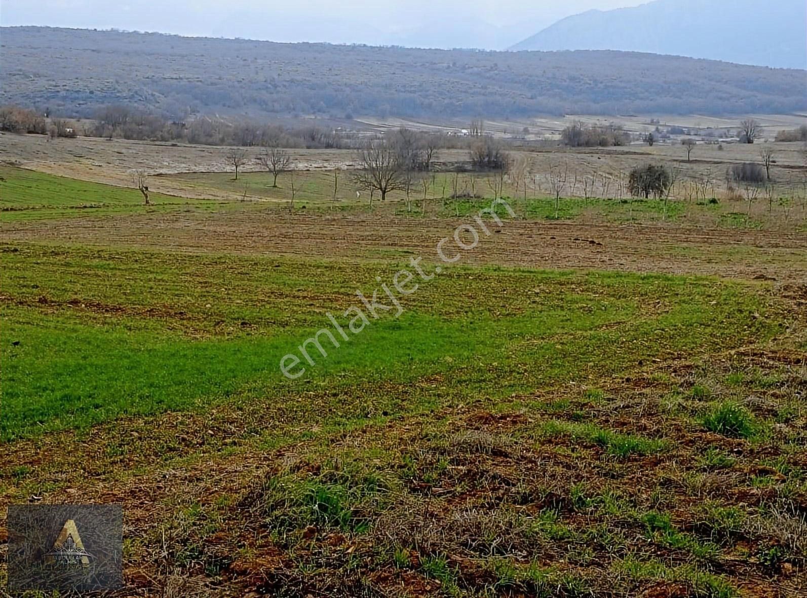 Gölpazarı Bolatlı Köyü Satılık Tarla Bilecik Gölpazarı Bolatlı Köyünde