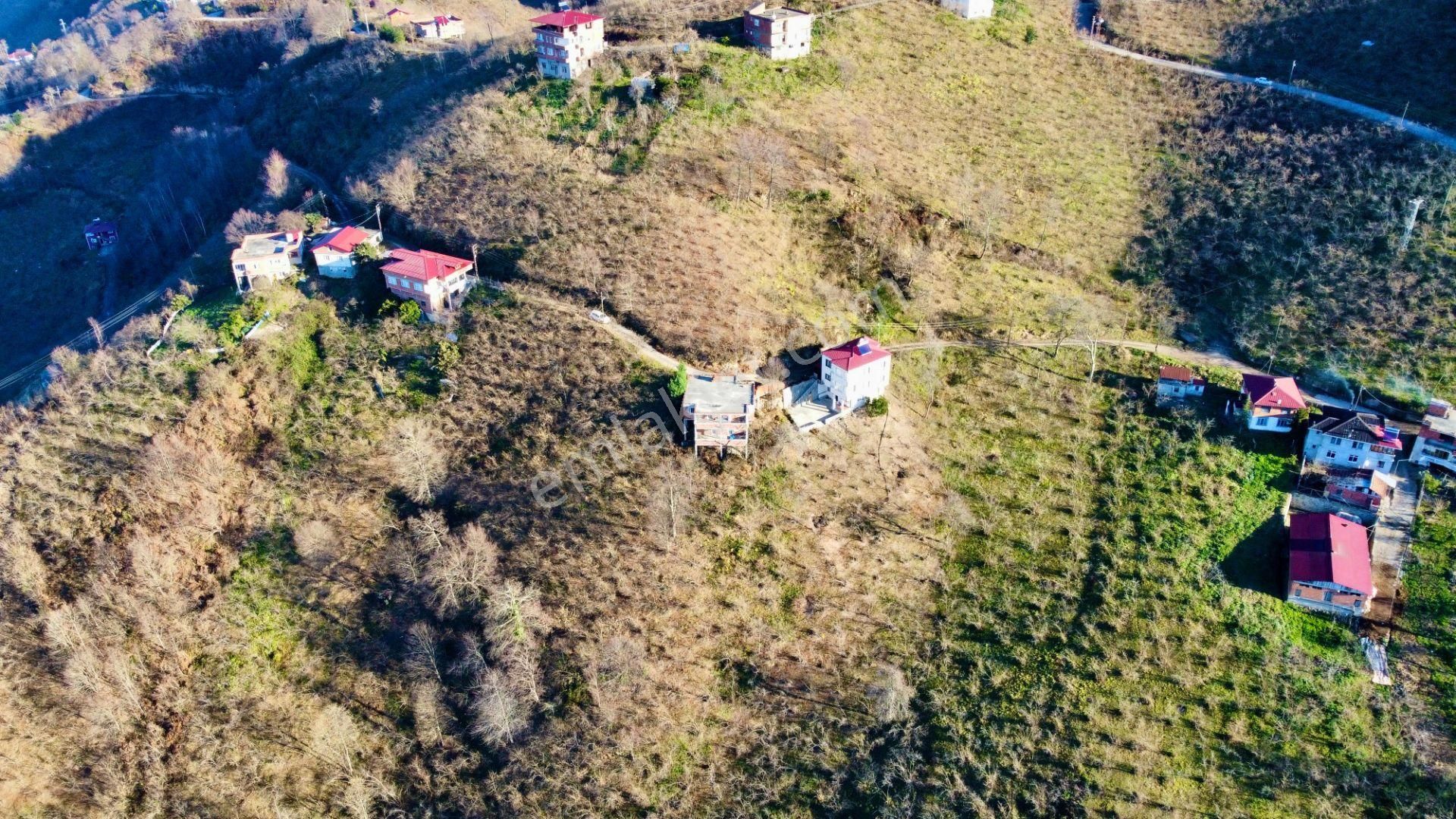 Arsin Dilek Satılık Bağ & Bahçe Arsin Dilek Köyü Orta Mevkii Sahile 3km. Mesafede Satılık Arazi