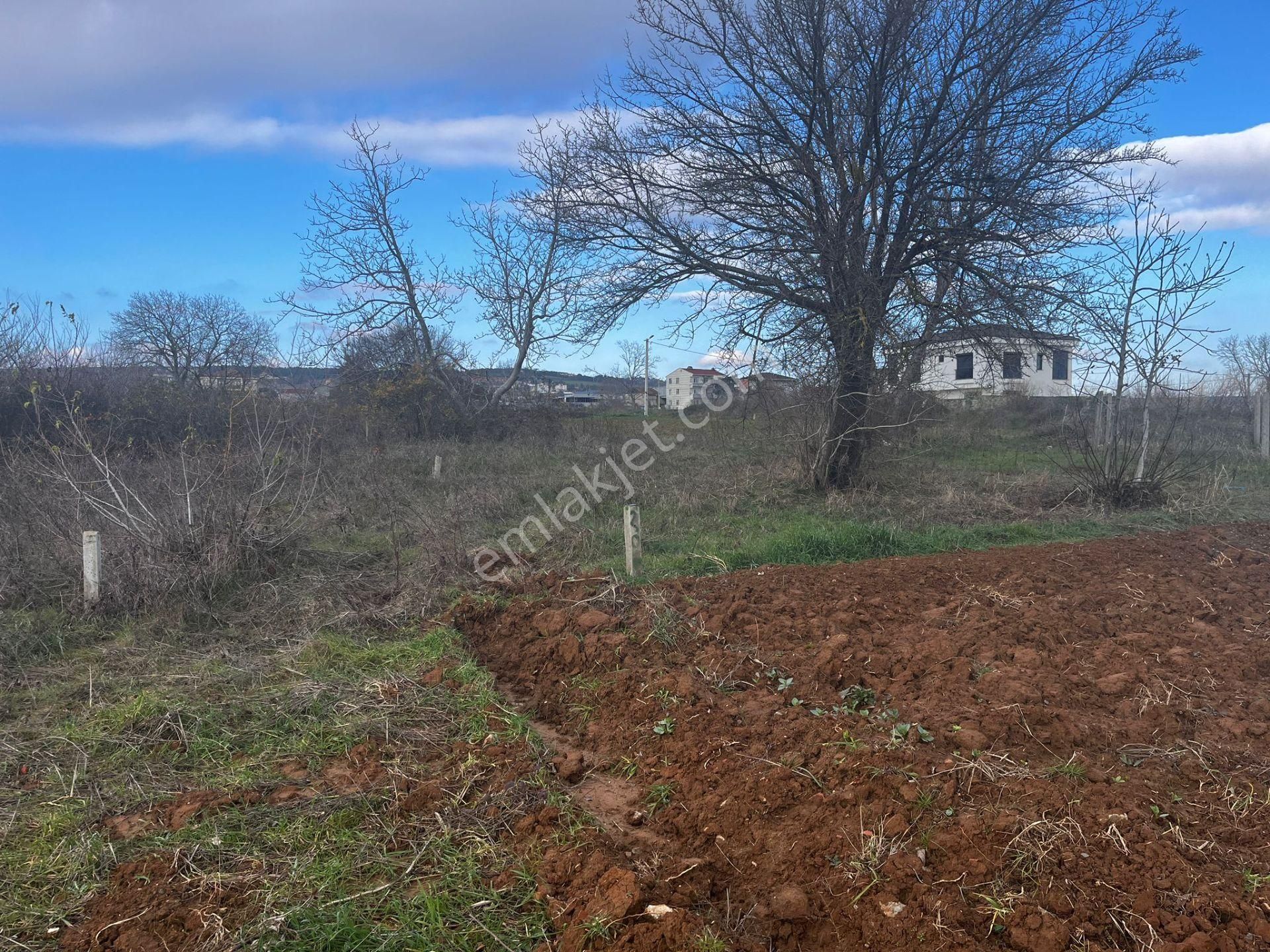 Süleymanpaşa Karadeniz Satılık Villa İmarlı Tekirdağ Süleymanpaşa Karadeniz Mah. İmarlı, Kat İrtifaklı, İnşaata Hazır Satılık Villa Arsası