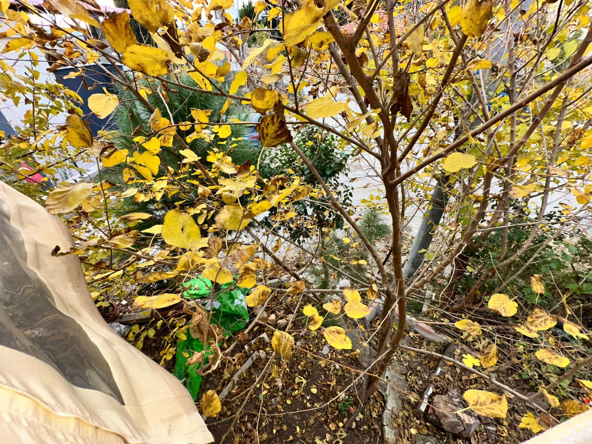 Pınarbaşın Da Full Eşyalı 1+1 Satılık Müstakil Ev - Görsel 24