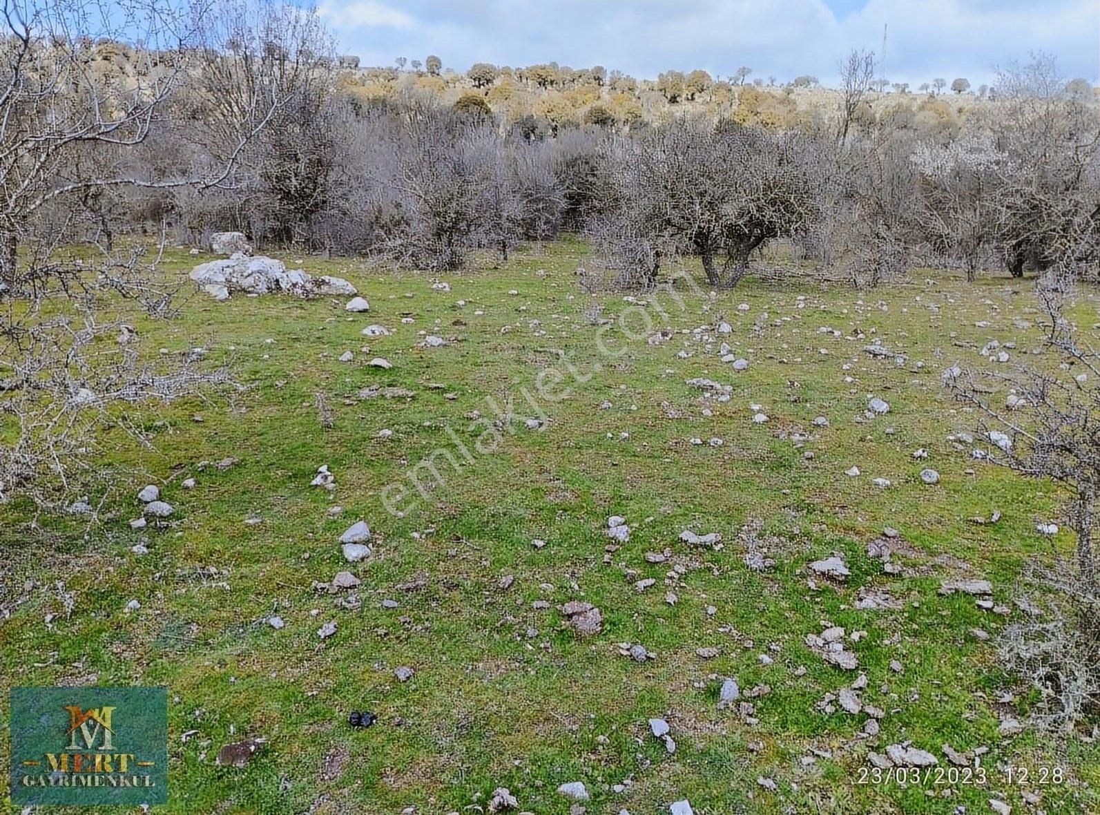 Ayvacık Keçikaya Köyü Satılık Tarla Çanakkale Ayvacık Keçi Kaya Köyünde Tarla