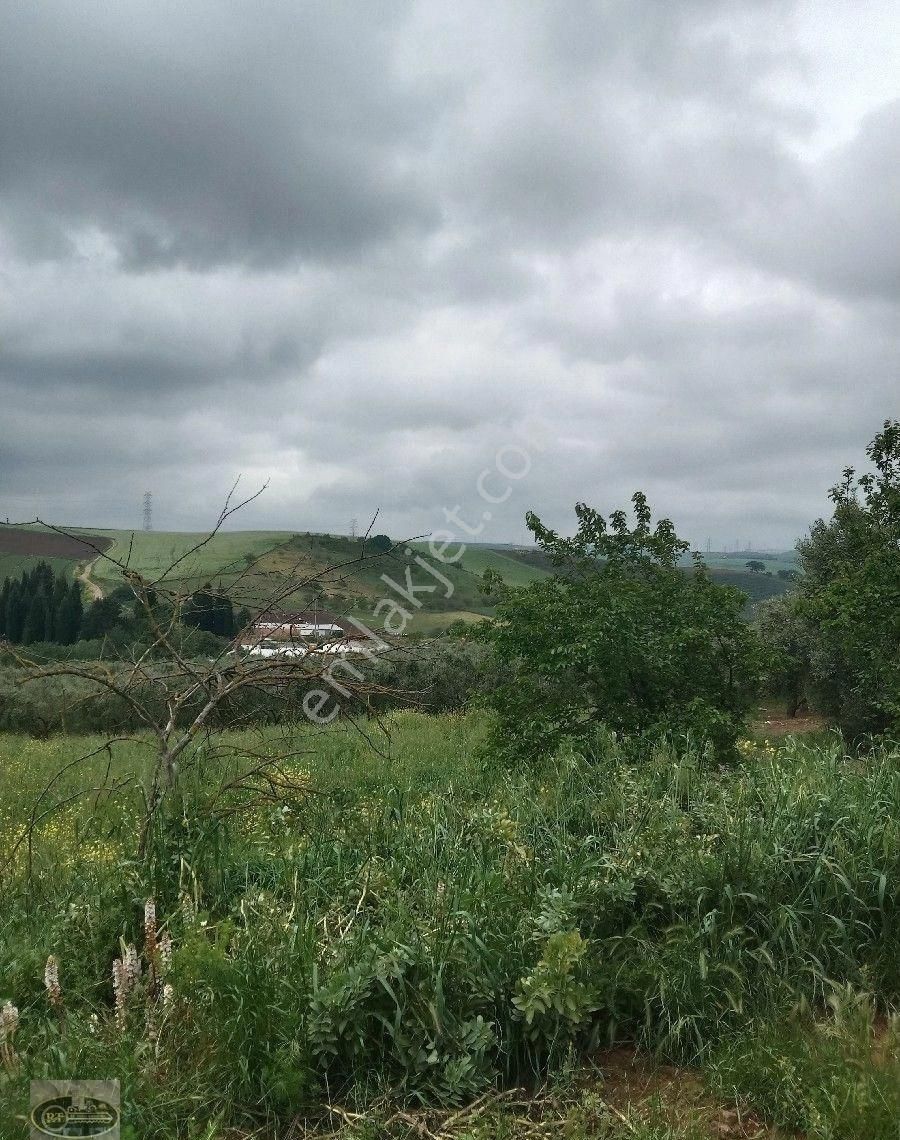 Bandırma Hidir Koyde Koy İmarli Muhtesem Arsa Tam Yatırımlık... - Görsel 13