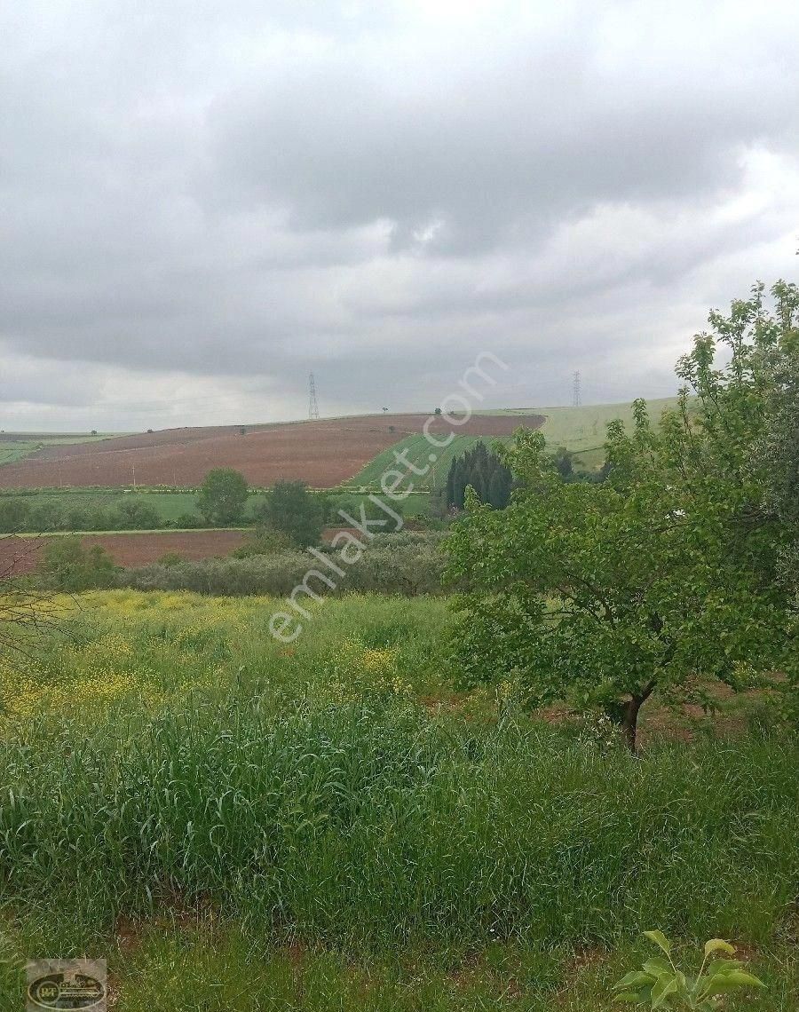 Bandırma Hidir Koyde Koy İmarli Muhtesem Arsa Tam Yatırımlık... - Görsel 3