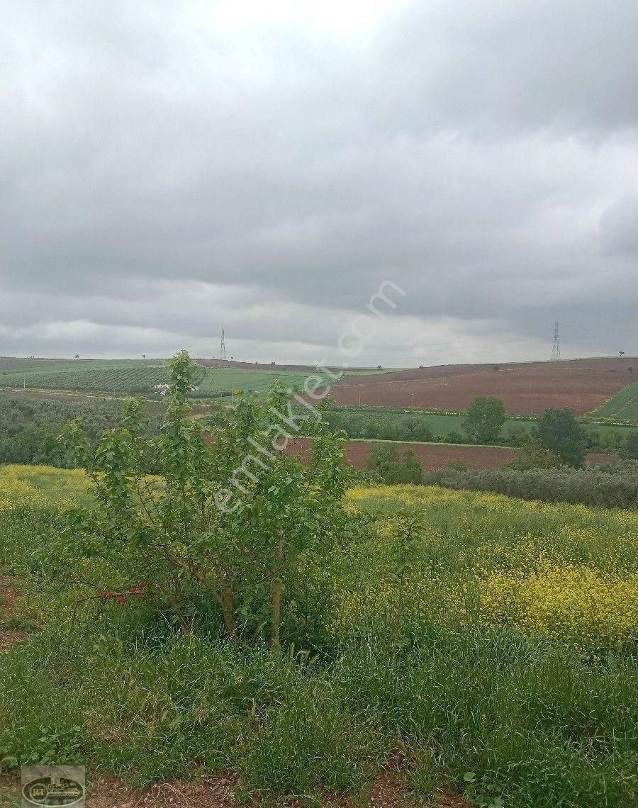 Bandırma Hidir Koyde Koy İmarli Muhtesem Arsa Tam Yatırımlık... - Görsel 20