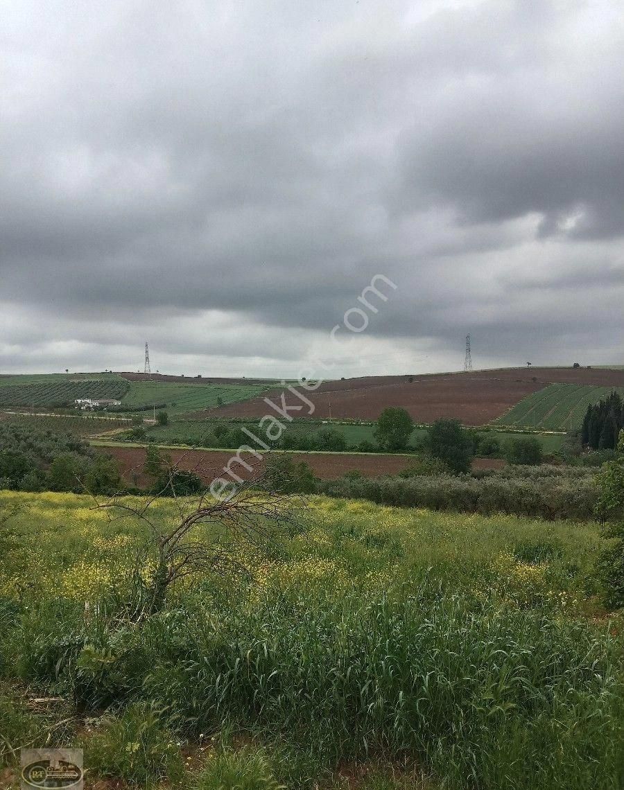 Bandırma Hidir Koyde Koy İmarli Muhtesem Arsa Tam Yatırımlık... - Görsel 18