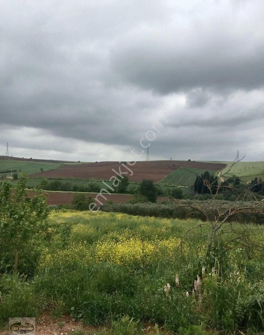 Bandırma Hidir Koyde Koy İmarli Muhtesem Arsa Tam Yatırımlık... - Görsel 17