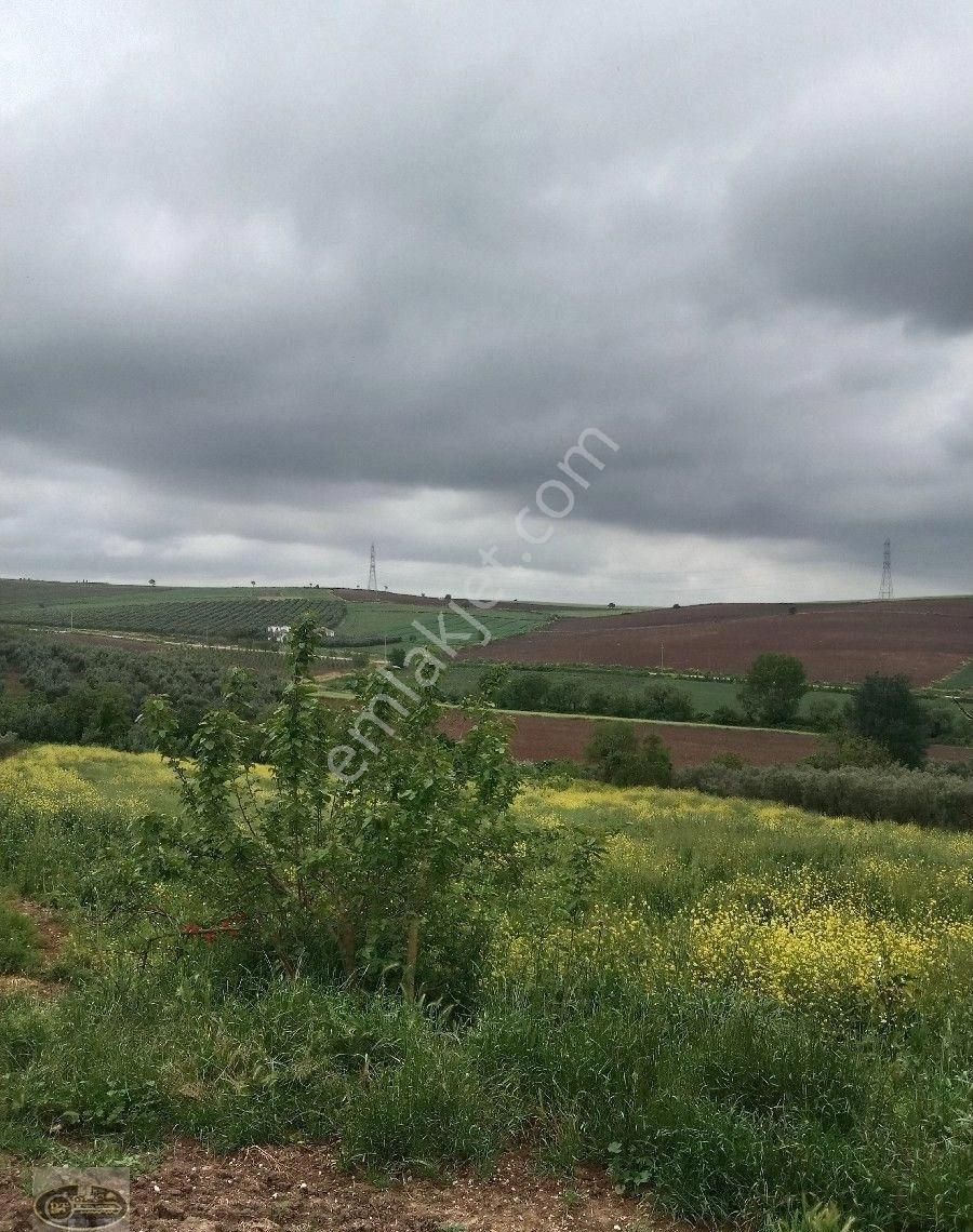 Bandırma Hidir Koyde Koy İmarli Muhtesem Arsa Tam Yatırımlık... - Görsel 9