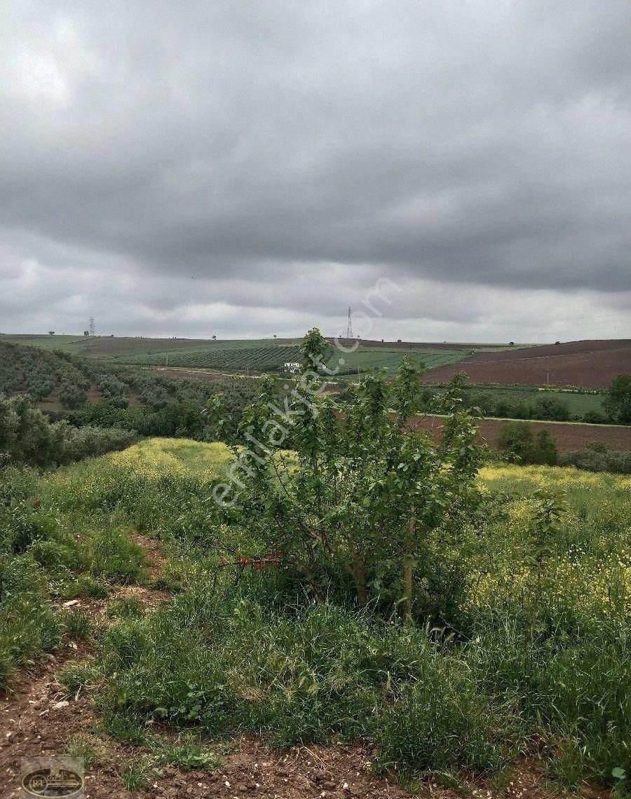 Bandırma Hidir Koyde Koy İmarli Muhtesem Arsa Tam Yatırımlık... - Görsel 21