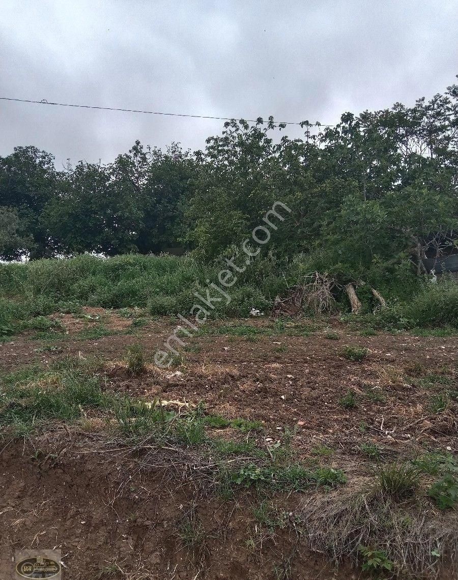 Bandırma Hidir Koyde Koy İmarli Muhtesem Arsa Tam Yatırımlık... - Görsel 16