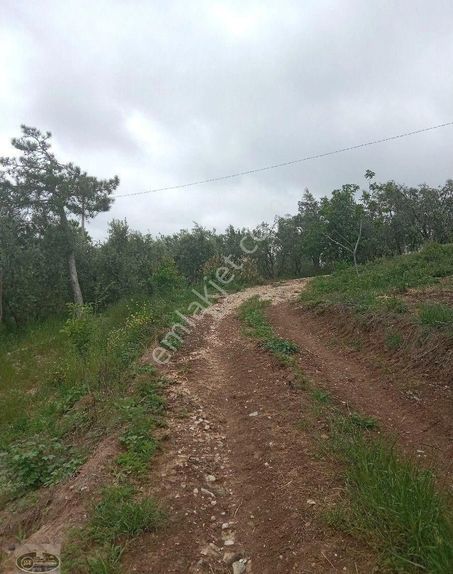 Bandırma Hidir Koyde Koy İmarli Muhtesem Arsa Tam Yatırımlık... - Görsel 15