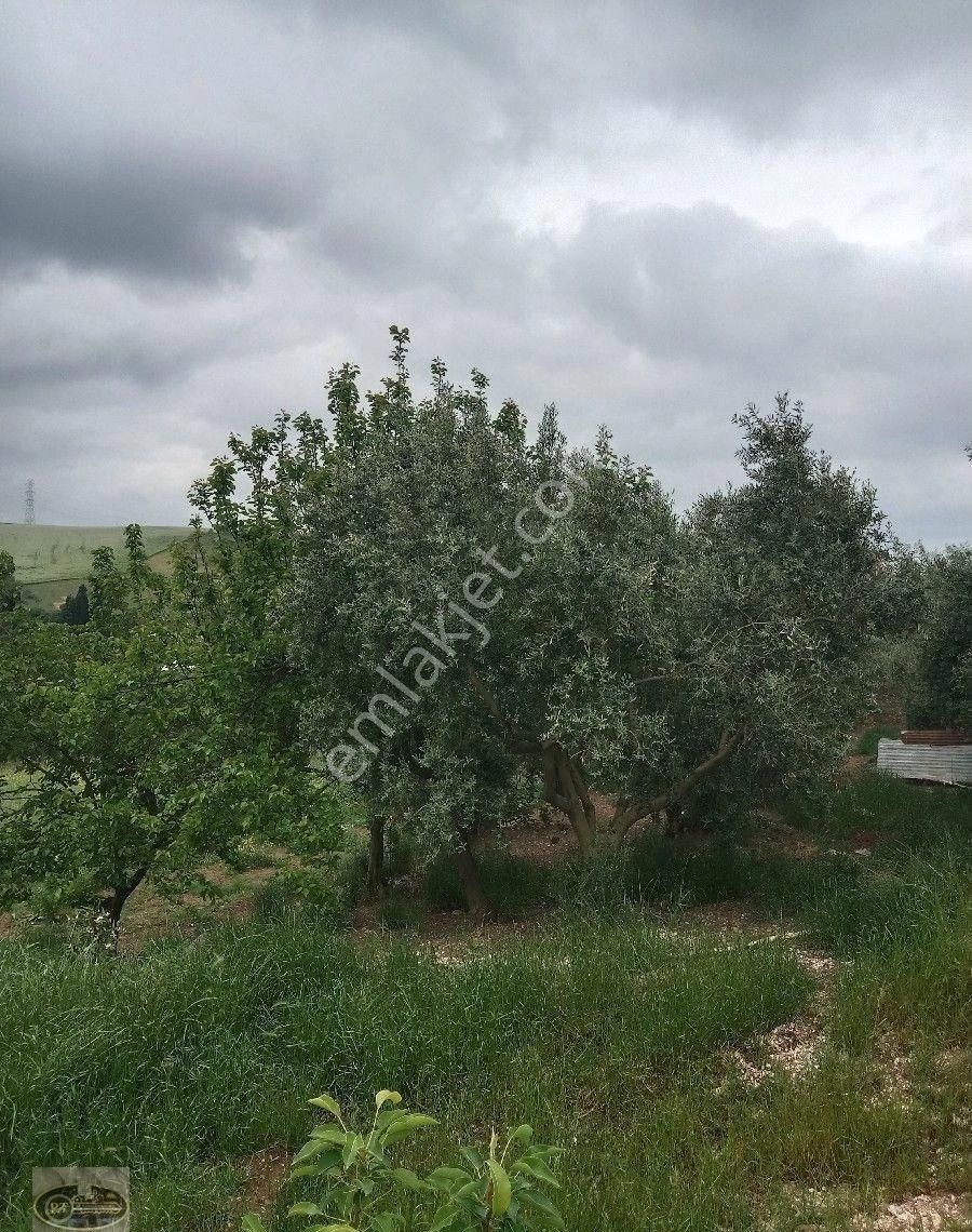 Bandırma Hidir Koyde Koy İmarli Muhtesem Arsa Tam Yatırımlık... - Görsel 10