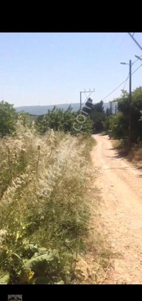 Erdek Çeltikçi Satılık Konut İmarlı Erdek Çeltikçi De Satılık Arsa