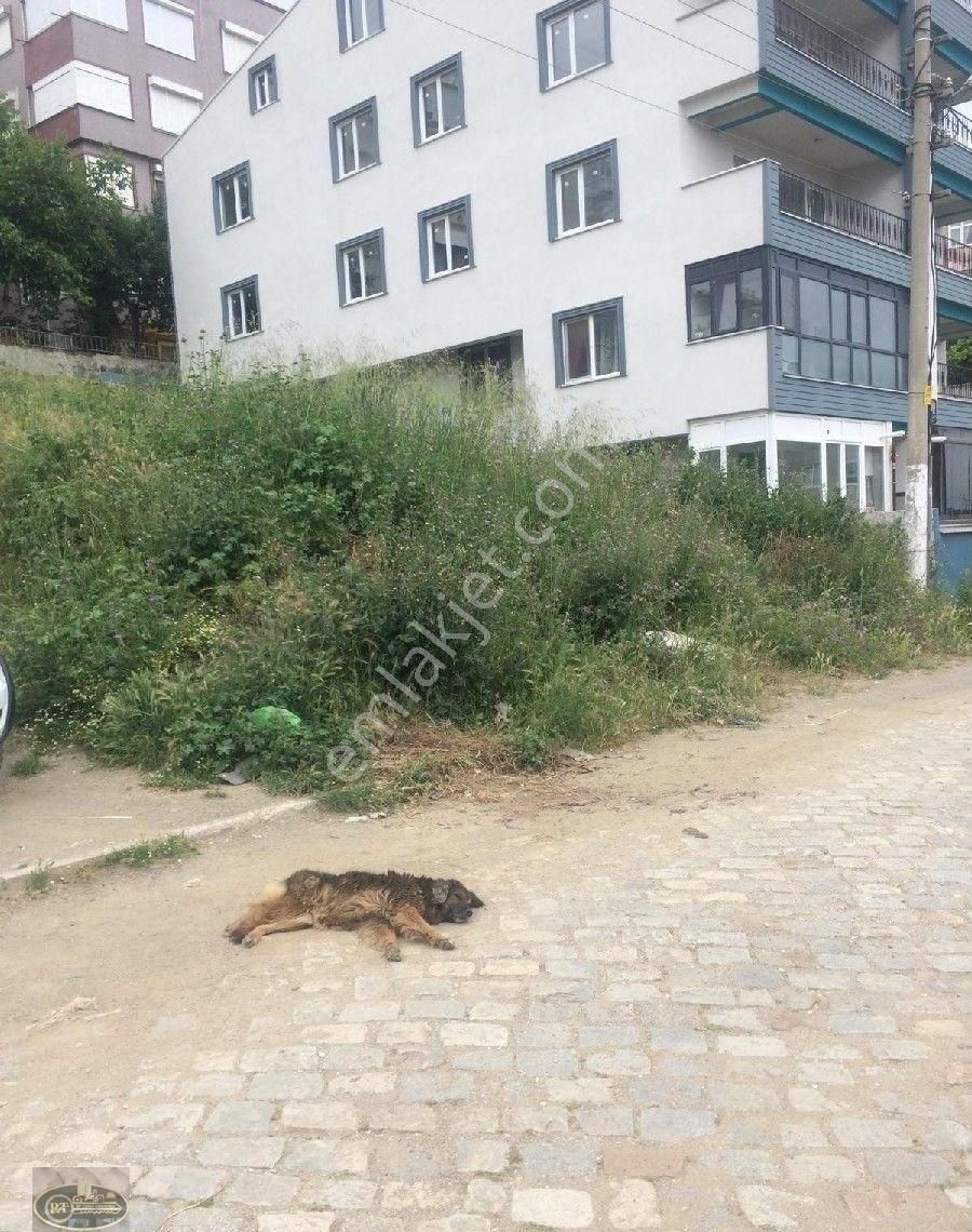 Erdek Halitpaşa Satılık Konut İmarlı Erdek Atatürk Mahallesinde Satilik Arsa .