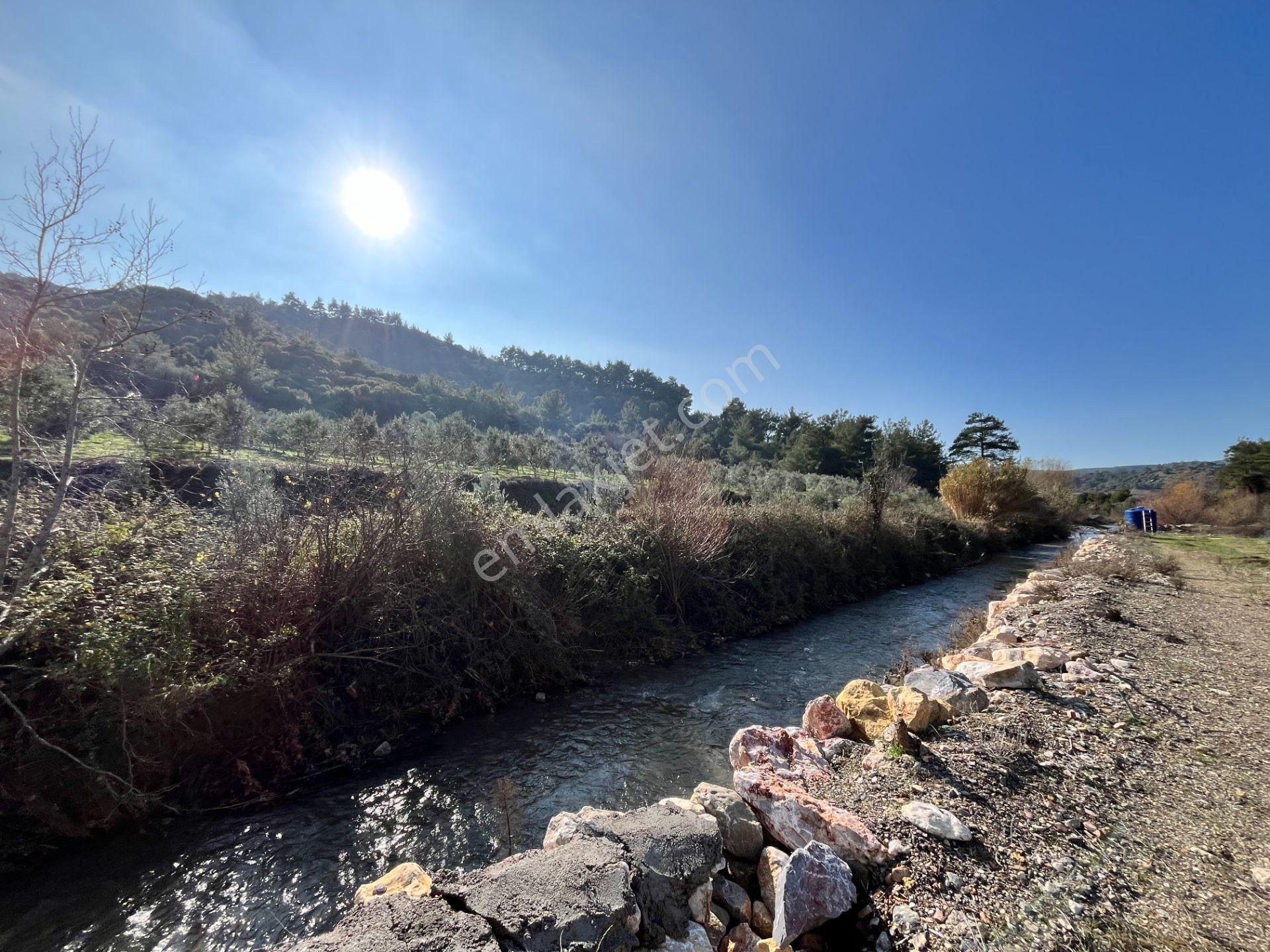 Kavakdere’de 1800 M² Arsa İçinde Taş Ev Ve Zeytinlik - Görsel 10